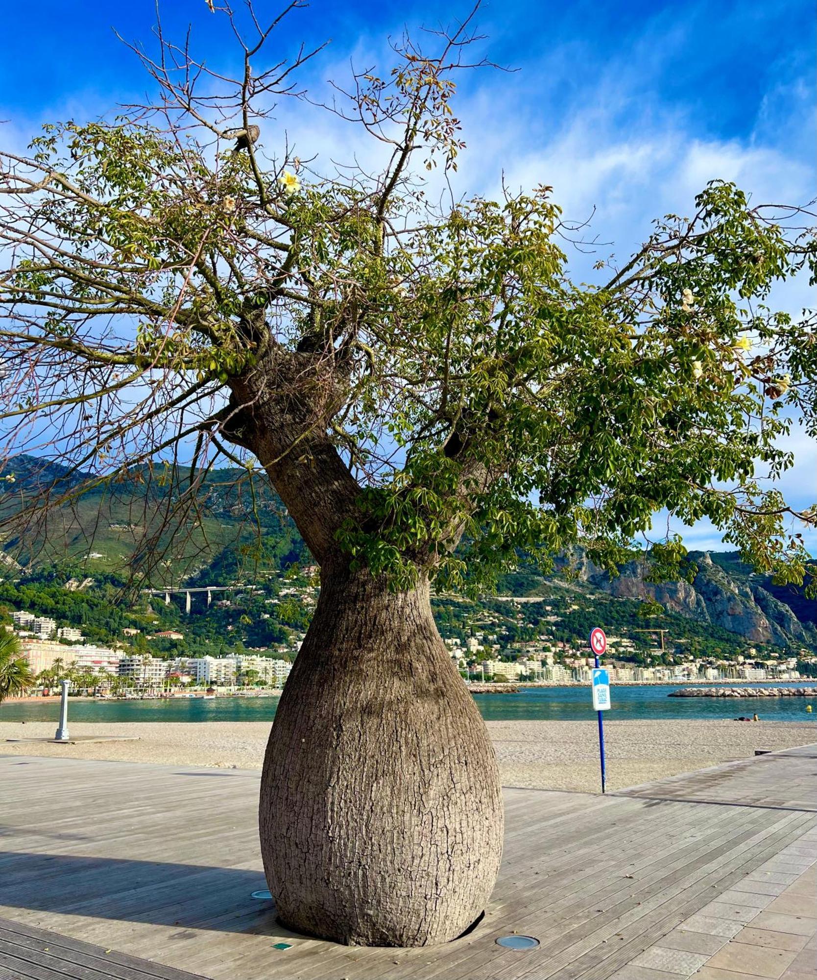 Magnifique Duplex Vue Mer Menton Bagian luar foto